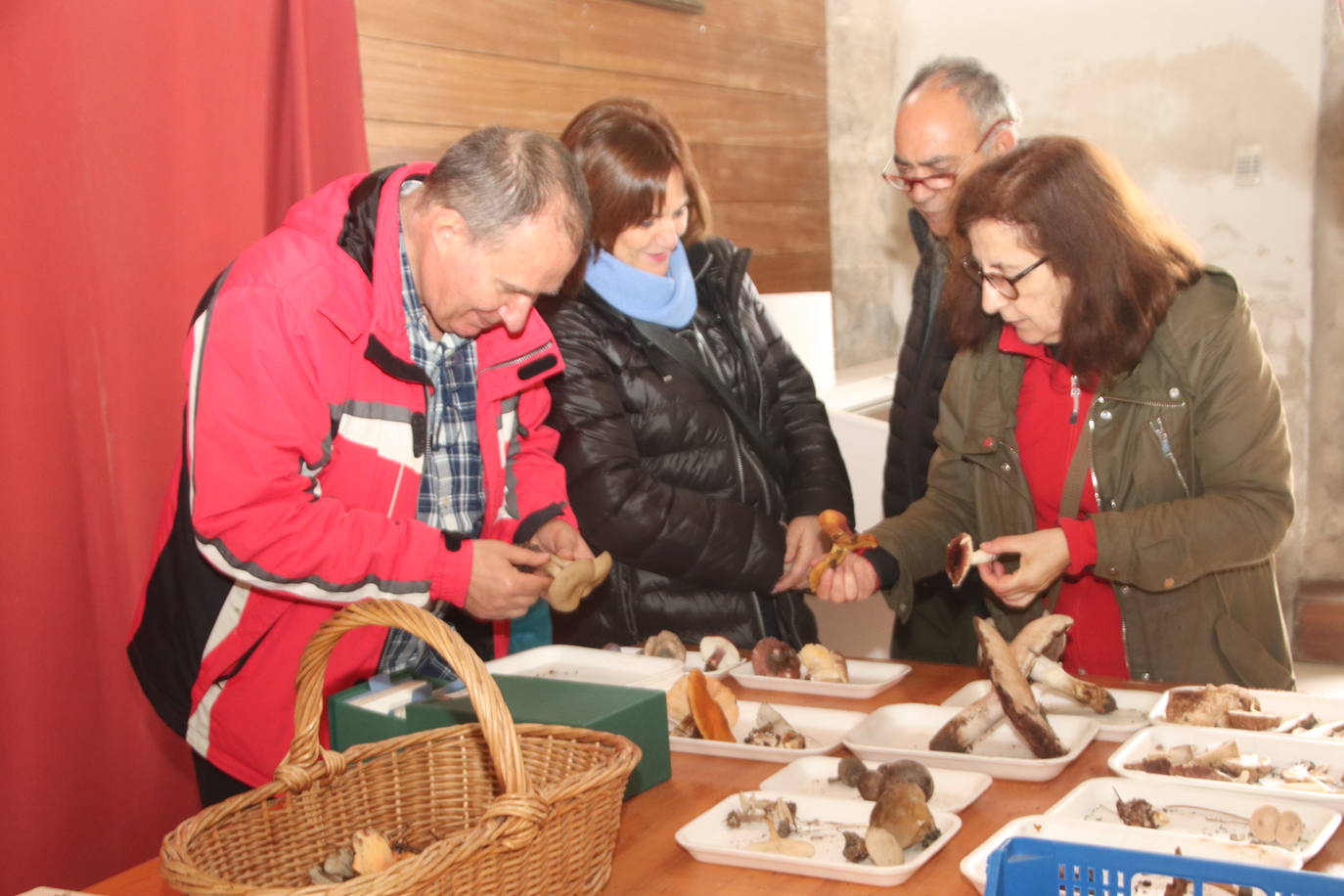 Exposición de las jornadas micológicas de Cuéllar.