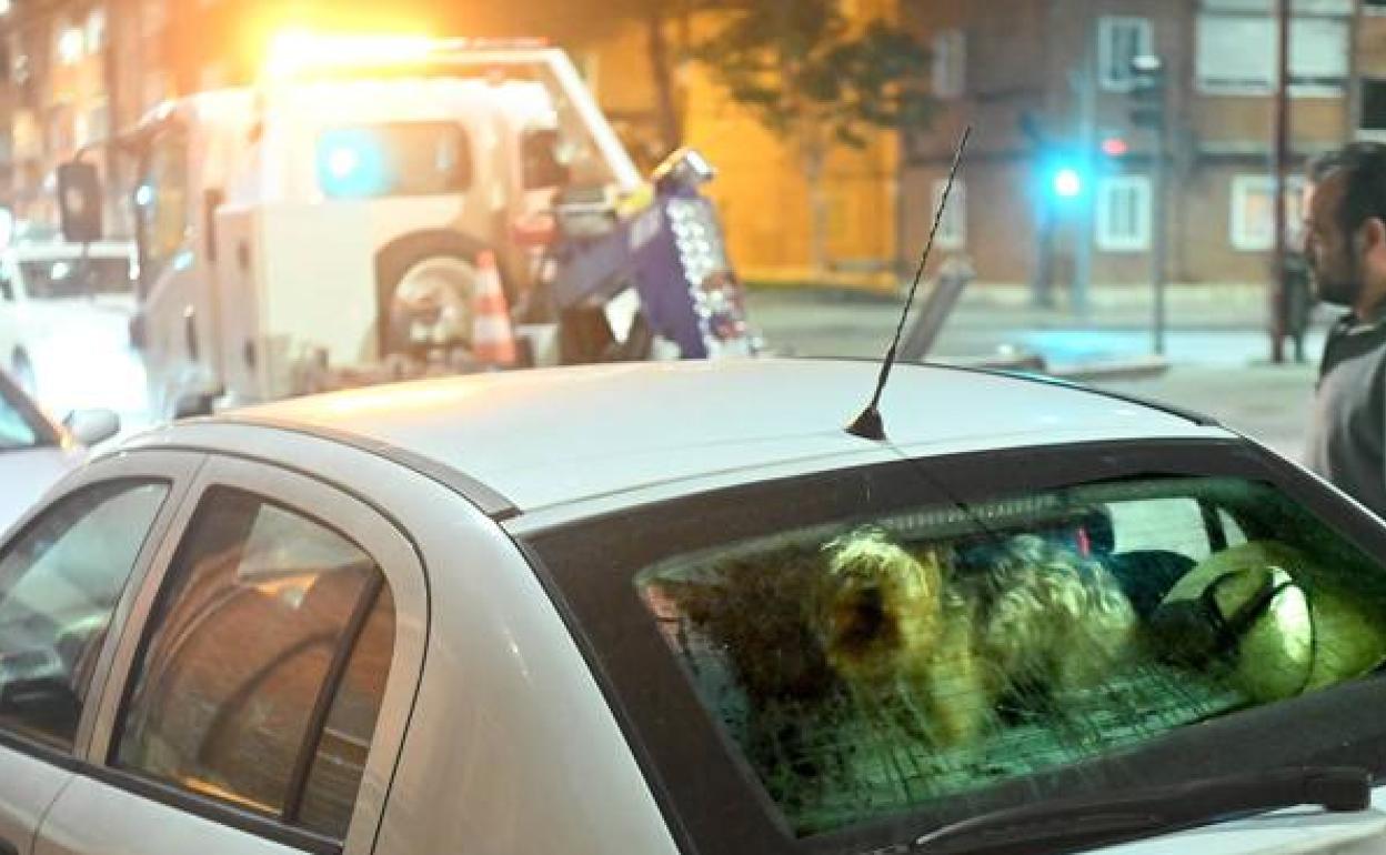 Perra encerrada en un coche en el barrio de Pajarillos.