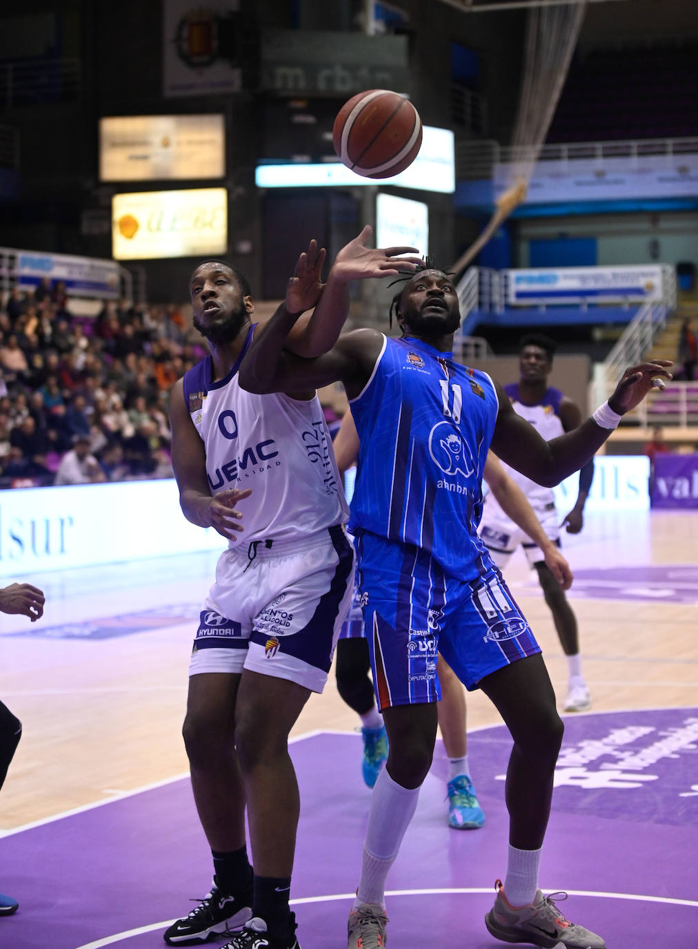 Fotos: Mucho sufrimiento en el enfrentamiento entre el Real Valladolid Baloncesto y el Almansa