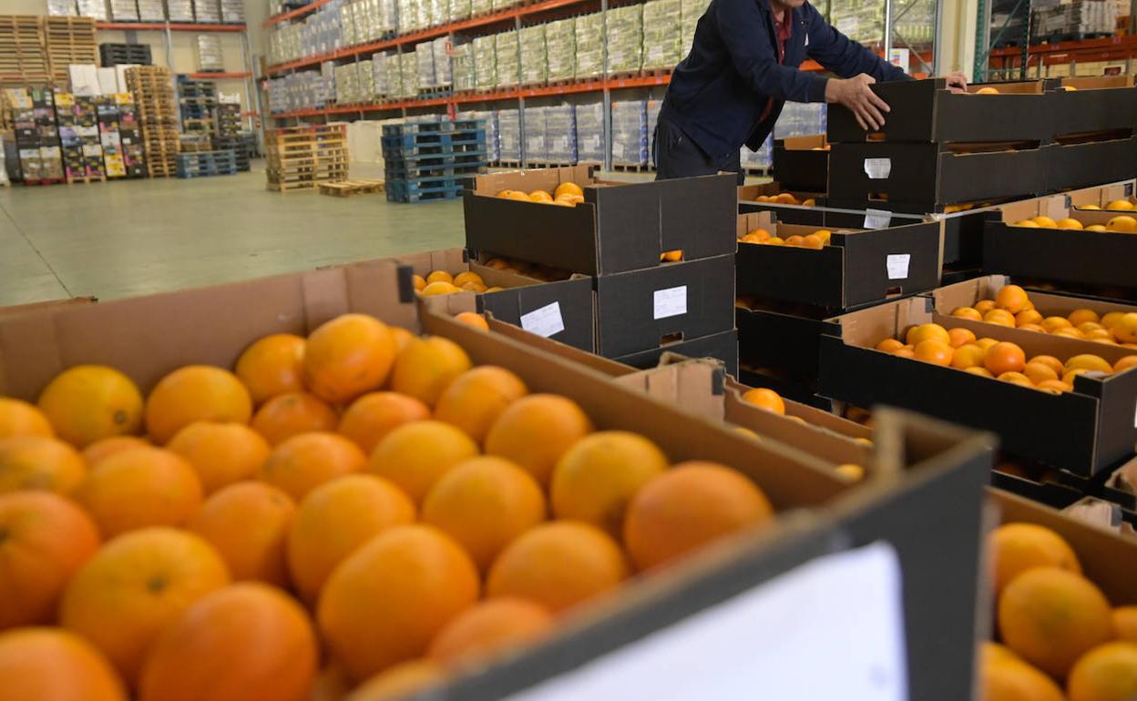 Cajas de naranjas en el banco de alimentos de Valladolid.