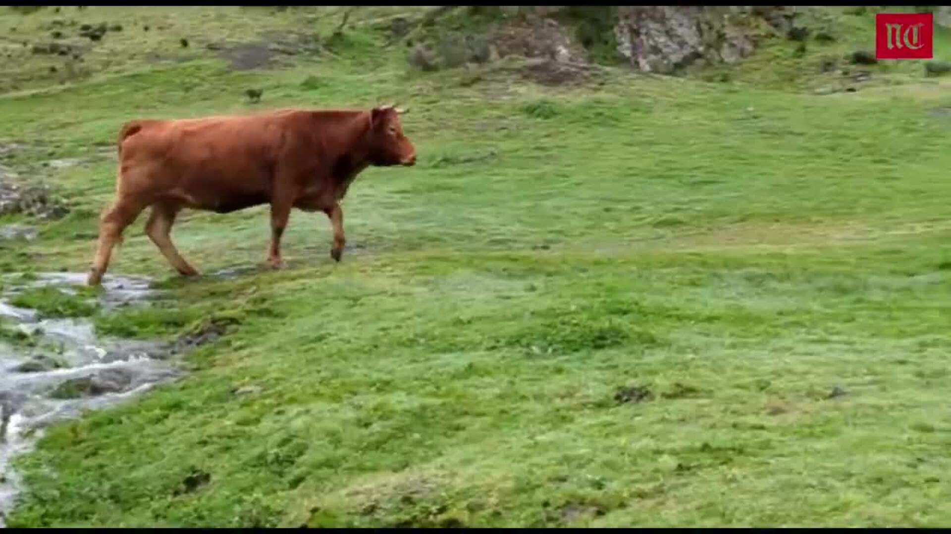 El tiempo esta semana: las precipitaciones vuelven a ser protagonistas