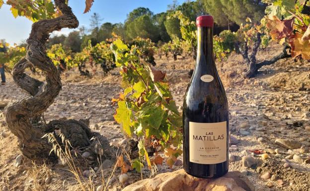 Botella de Las Matillas, junto al viñedo.
