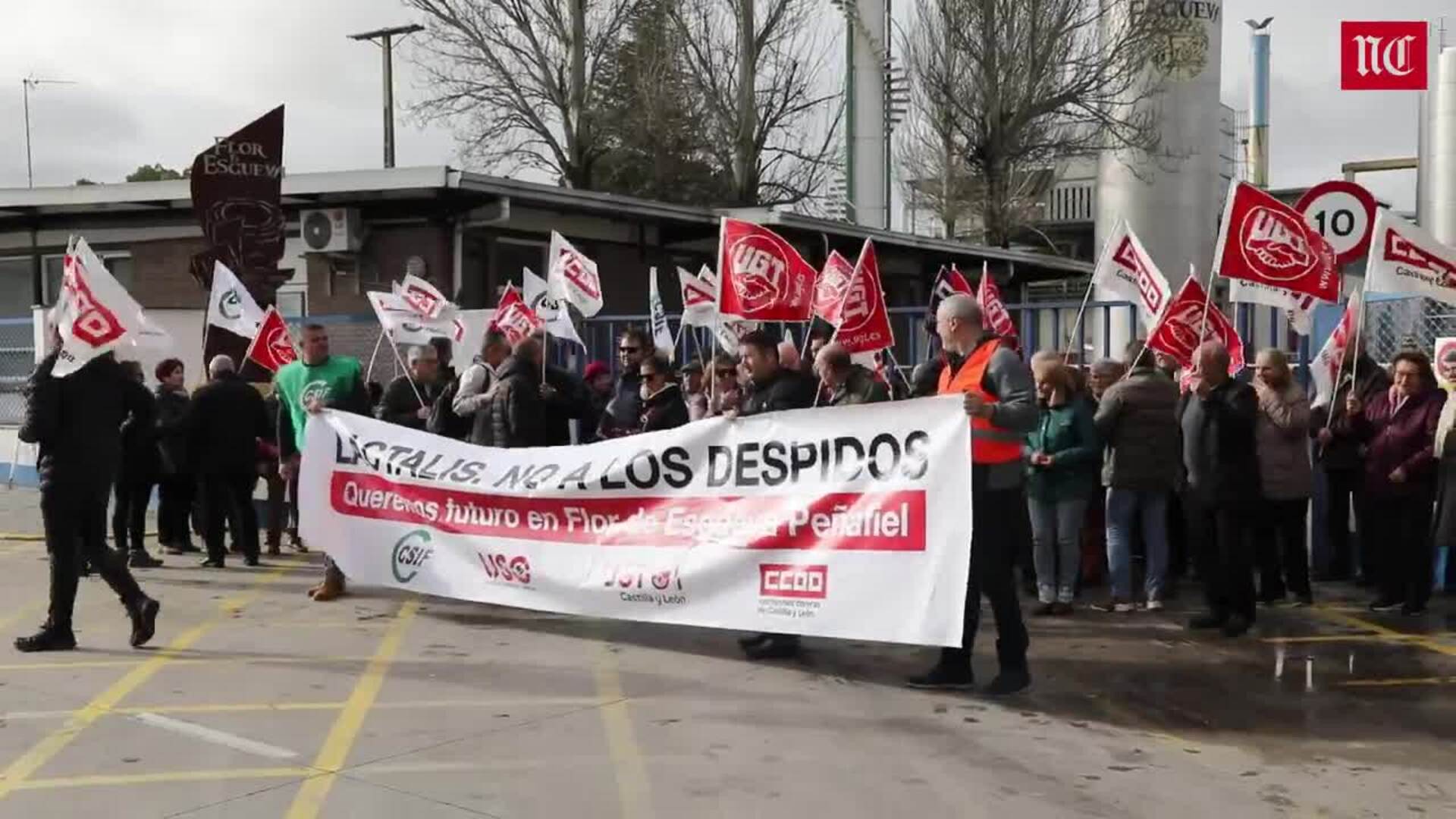 La plantilla de Flor de Esgueva se manifiesta contra los despidos anunciados en Peñafiel