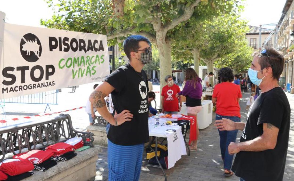 Protesta de Pisoraca en la Plaza Mayor de Palencia. 