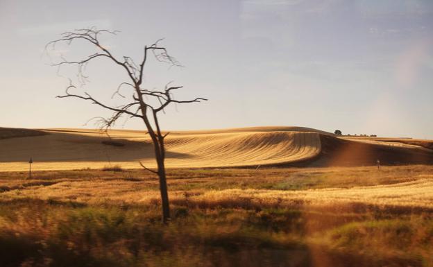 Imagen principal - Arriba, un paisaje desde el tren que cubre el trayecto entre Soria y Madrid. A la izquierda, la Montaña Palentina y a la derecha un paraje de Riofío, en Ávila. 