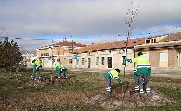 Cuéllar refuerza el mantenimiento de los barrios con tres operarios