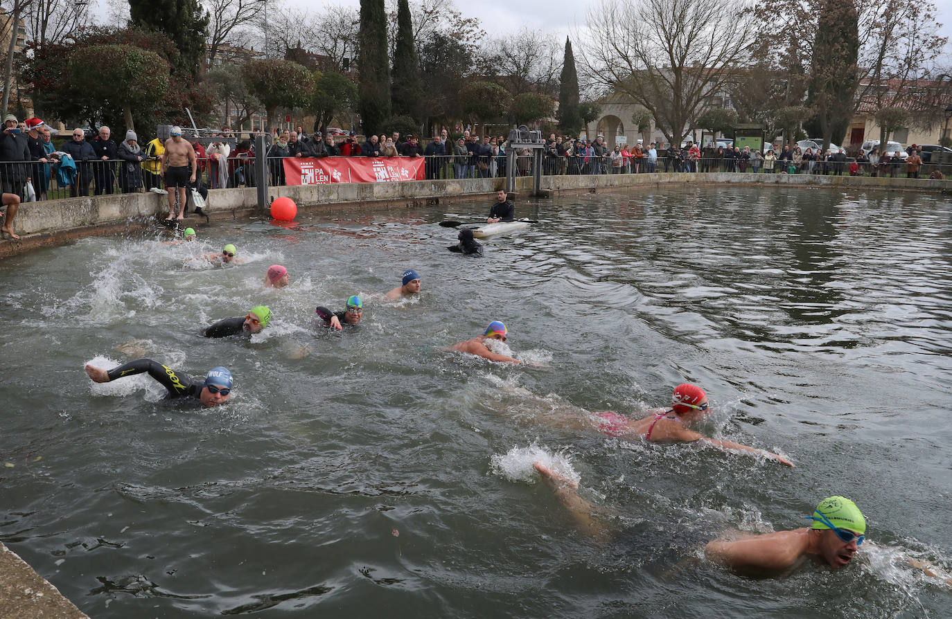 Fotos: A prueba de valientes en la Dársena del Canal en Palencia