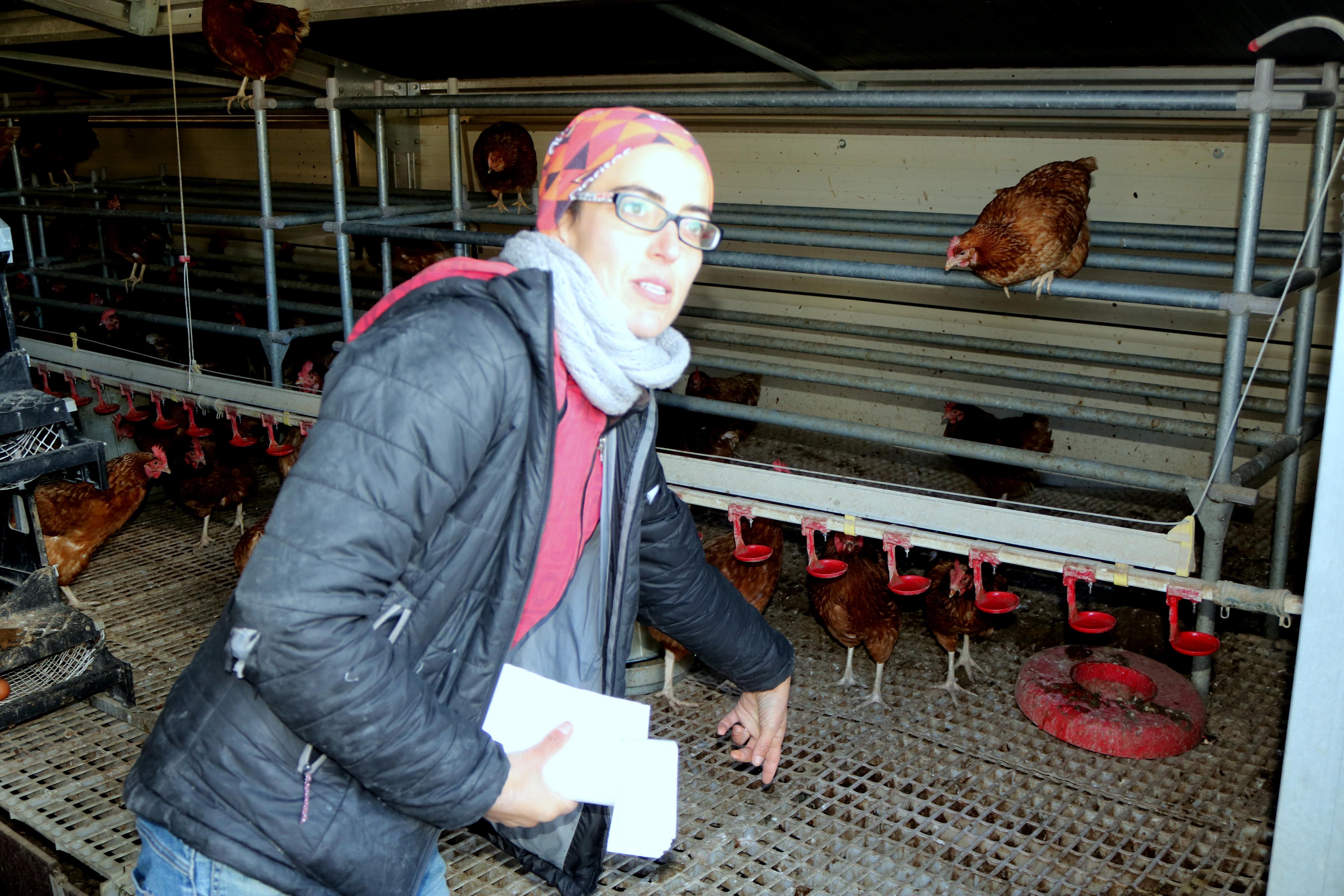 Las excursiones por el Cerrato son una de las citas clásicas de los cooperativistas