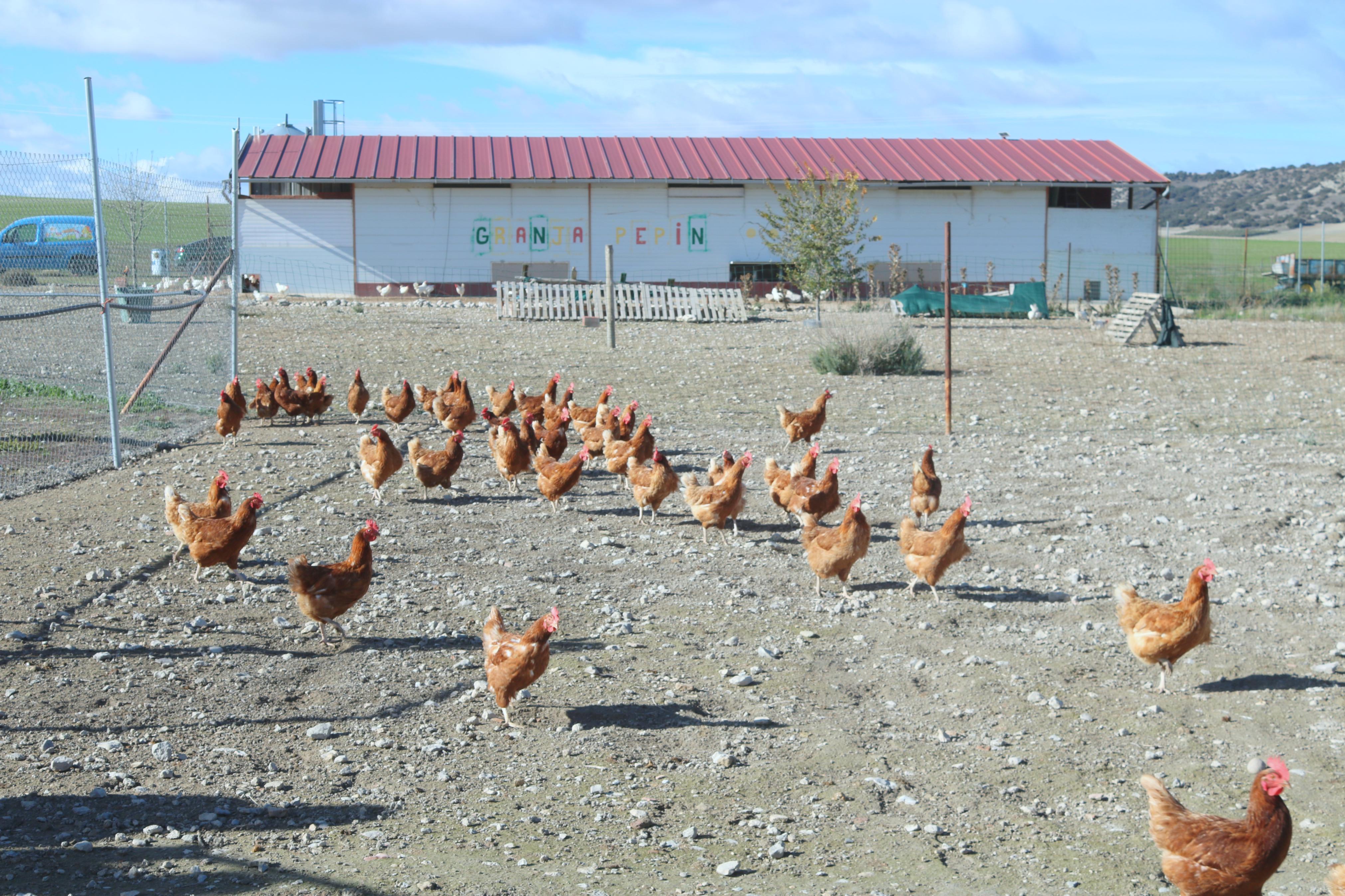 Las excursiones por el Cerrato son una de las citas clásicas de los cooperativistas