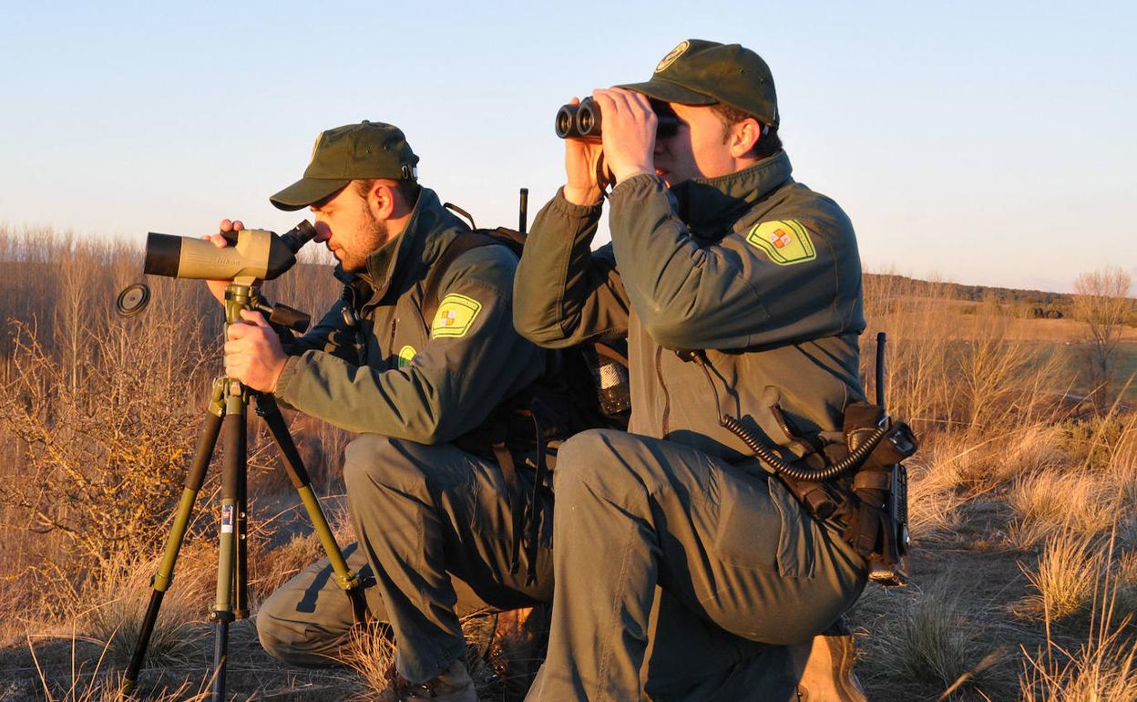 Agentes medioambientales vigilan una zona de caza en la provincia de Segovia.