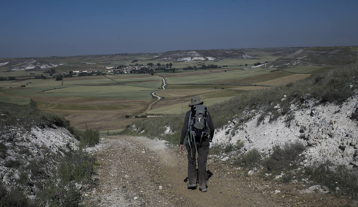 Después de Castrojeriz en dirección a Frómista el camino serpentea bordando los campos de castilla. Al fondo Itero del Castillo.