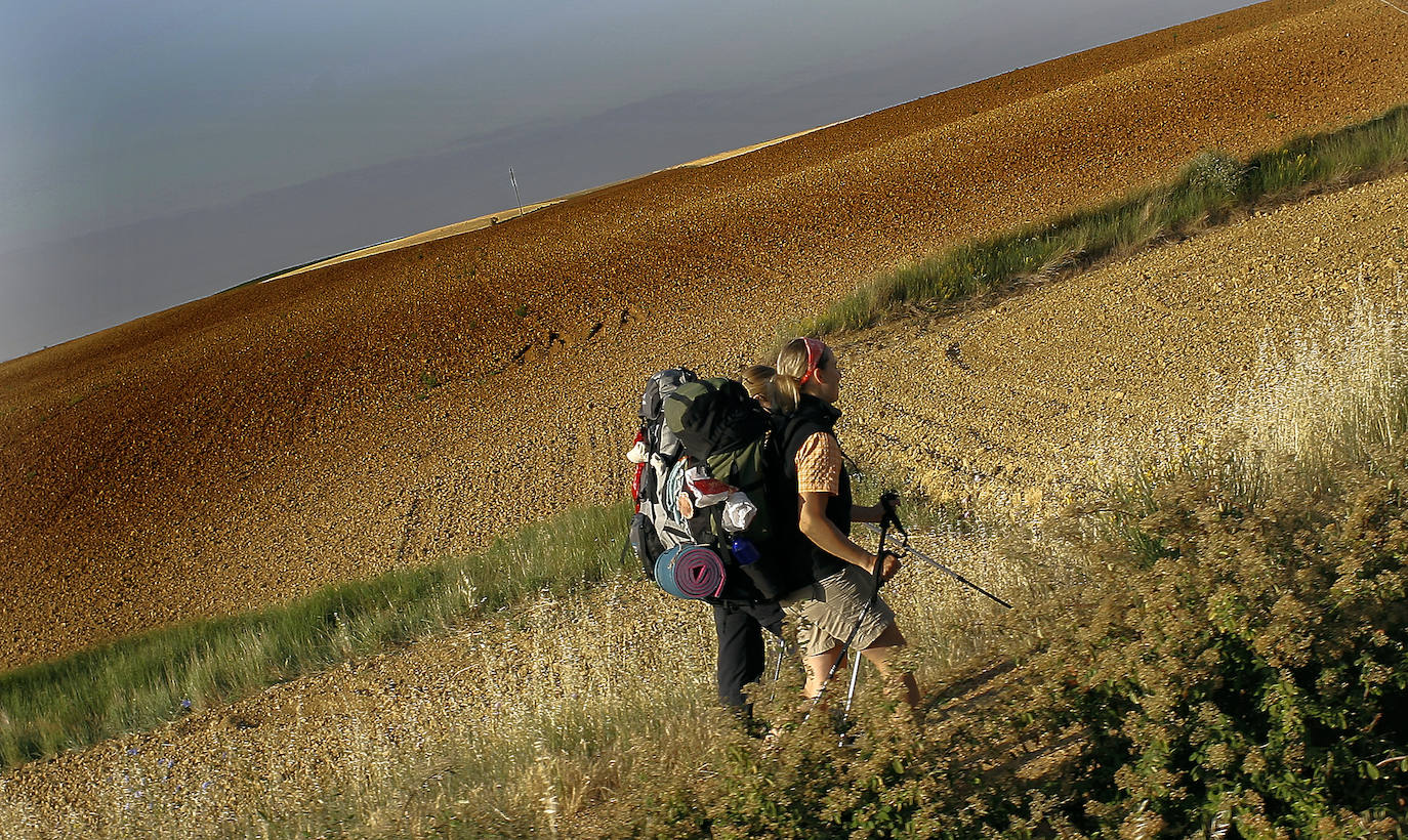 De Palencia a León aparece el horizonte infinito donde los peregrinos reciben la soledad como parte importante en su camino donde la reflexión preside su caminar.