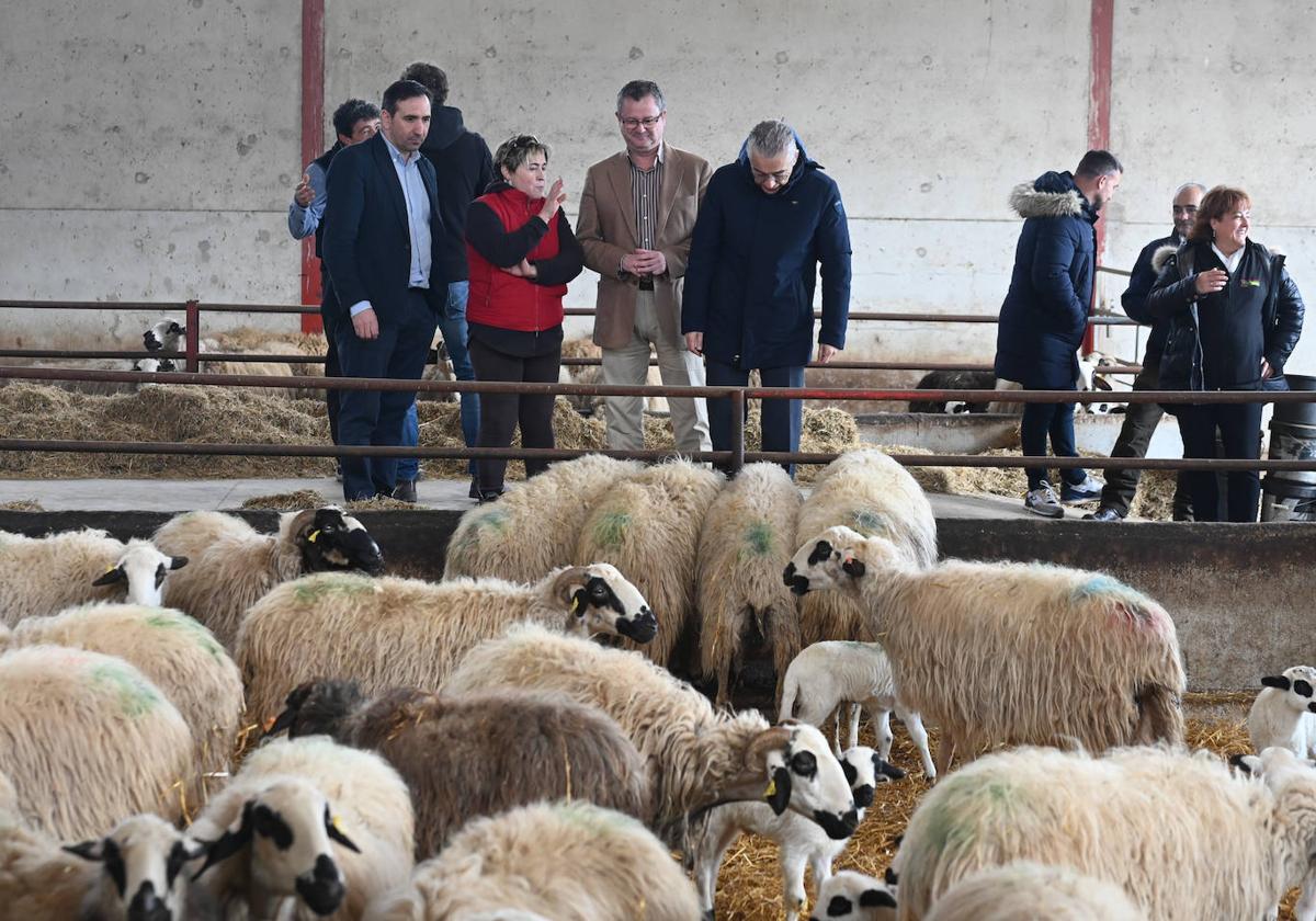 Visita del consejero, Gerardo Dueñas, a la explotación La Majada.