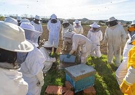 Los alumnos siguen el proceso de desmontaje y limpieza de colmenas, este miércoles en Viñalta.