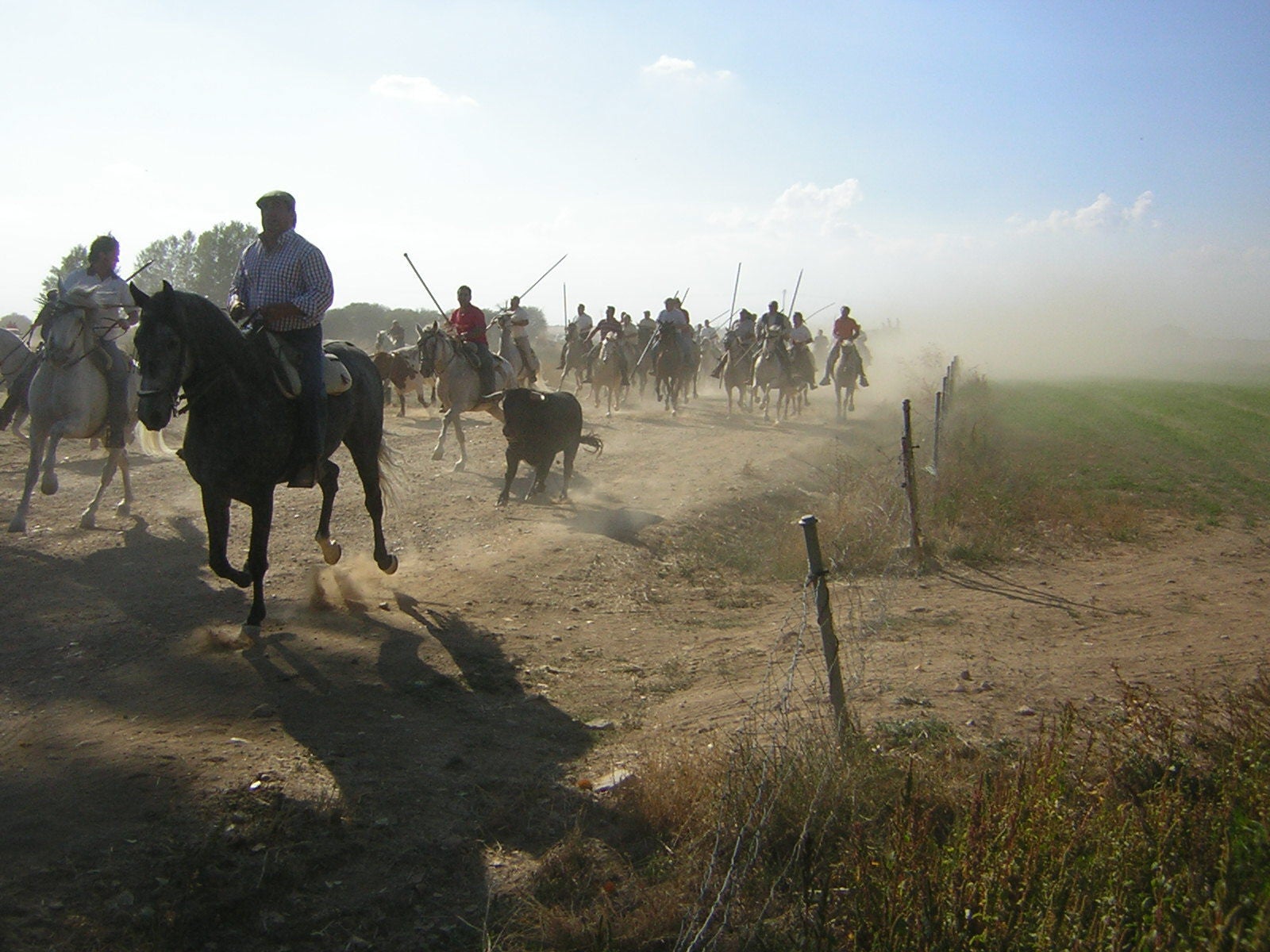 Los encierros de Mayorga, a lo largo de los años