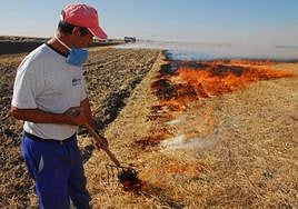 Estas son las condiciones para quemar rastrojos en terrenos agrarios