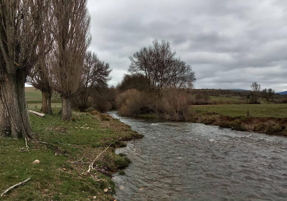 La Vega del Duratón desfigurada por el proyecto por el proyecto según Ecologistas en Acción.