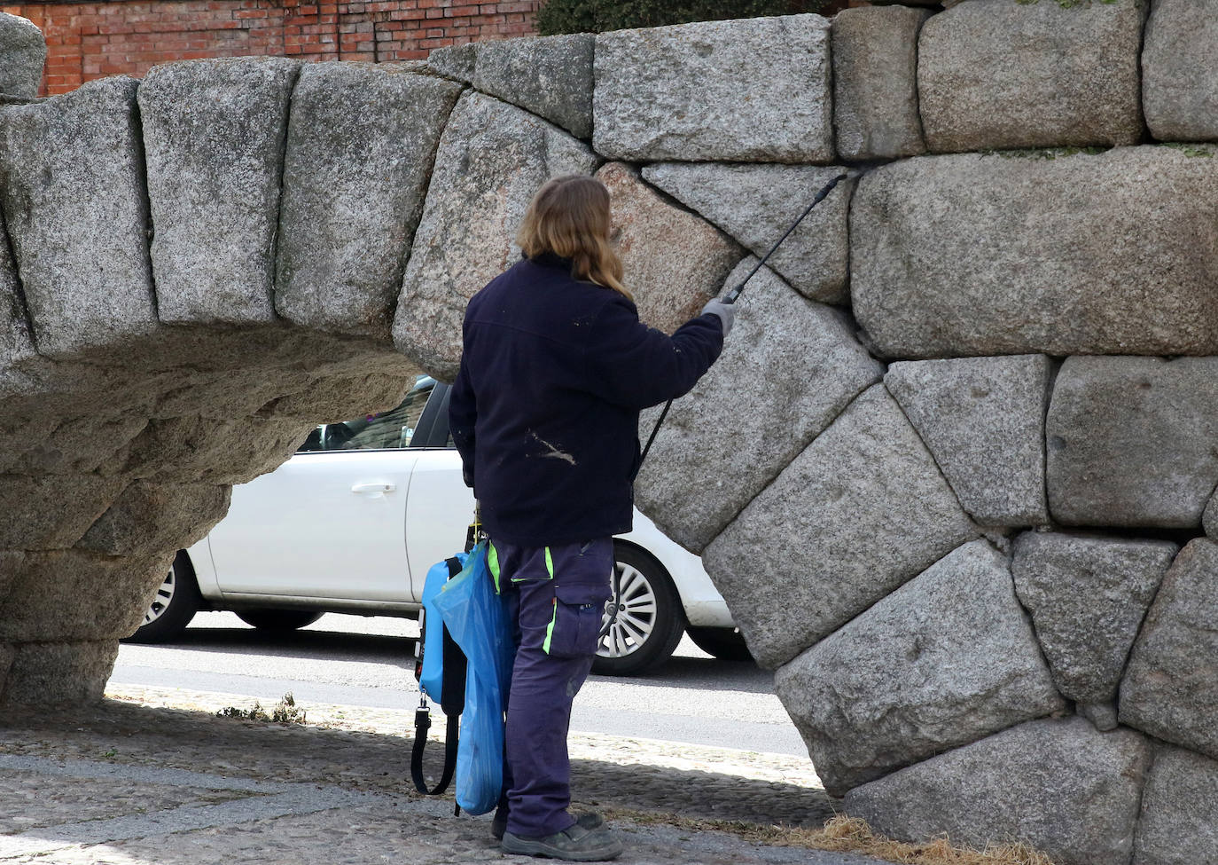 Continúa la limpieza de vegetación en el Acueducto