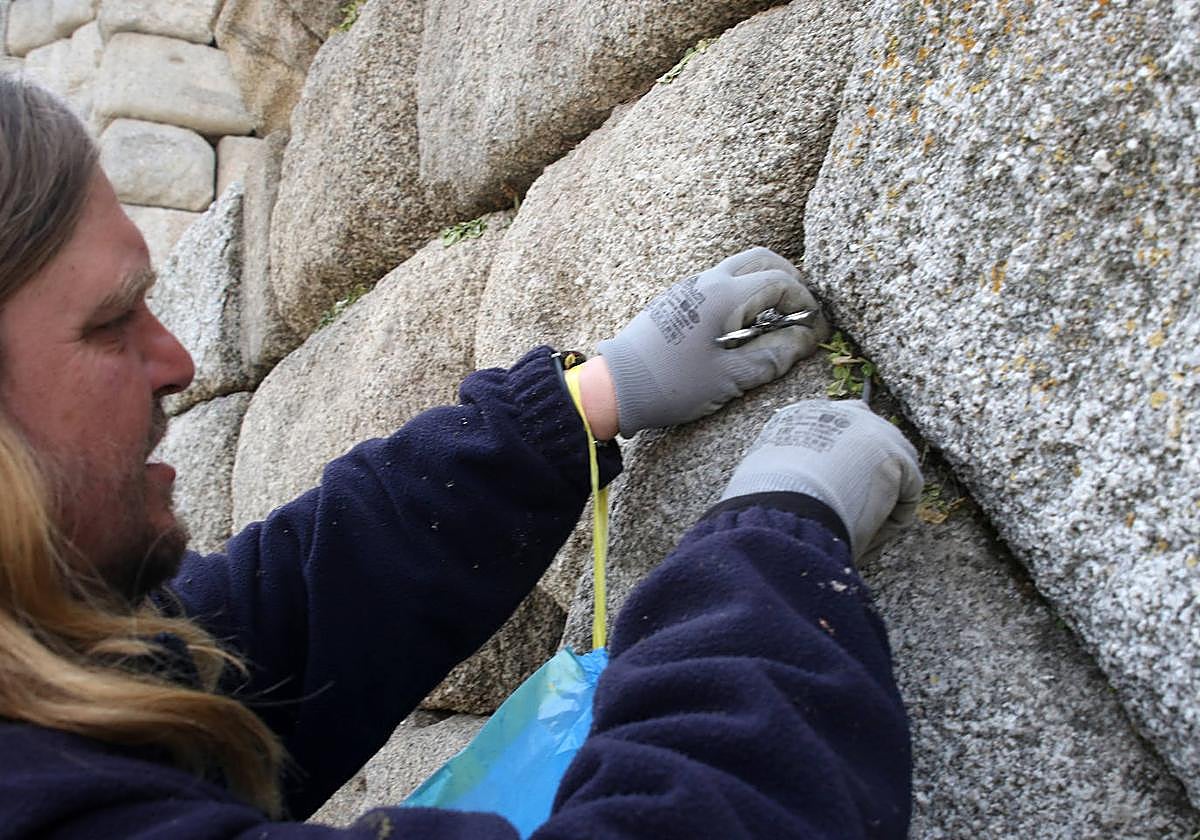 Continúa la limpieza de vegetación en el Acueducto