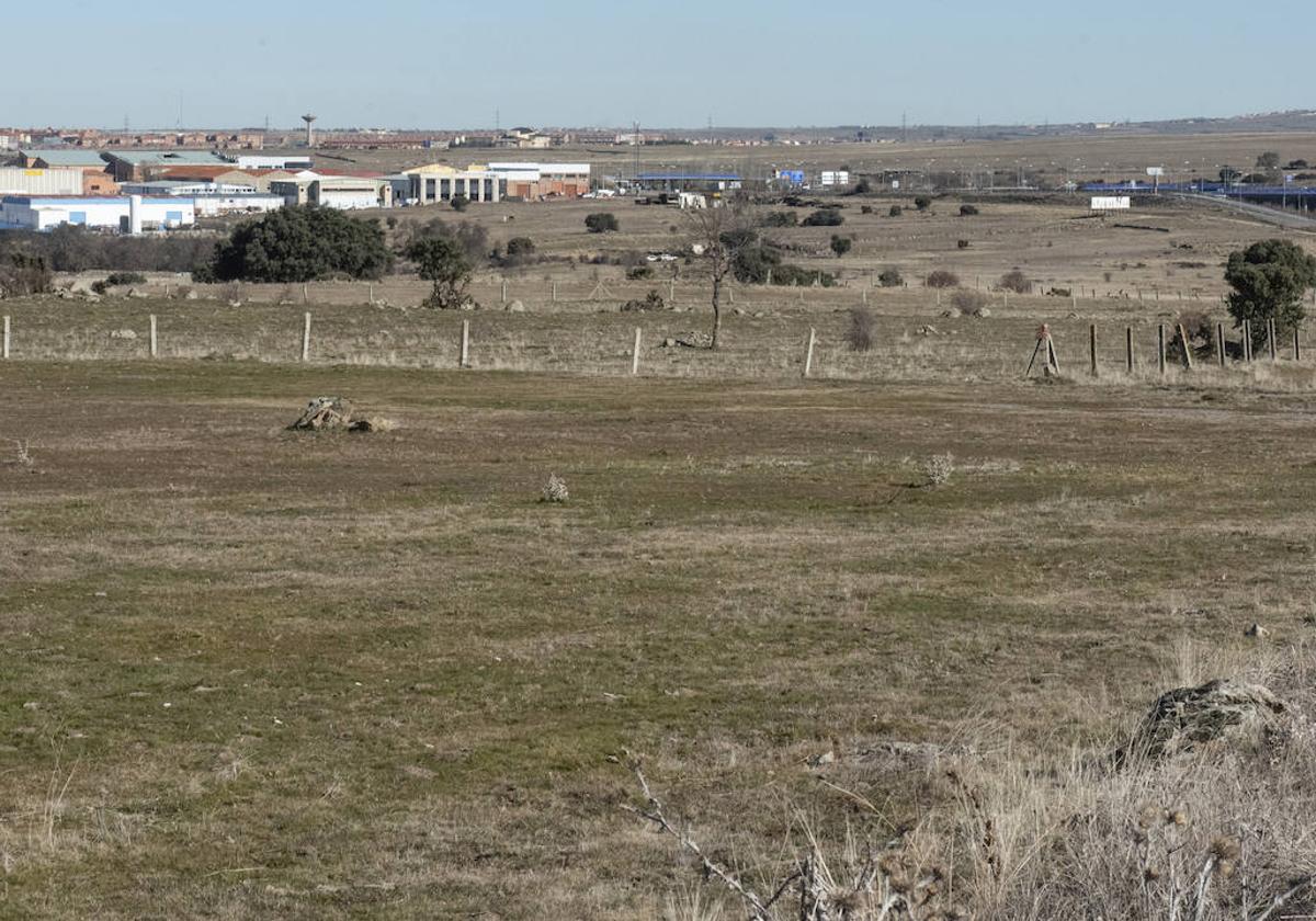 Terrenos del futuro área industrial de Prado del Hoyo.