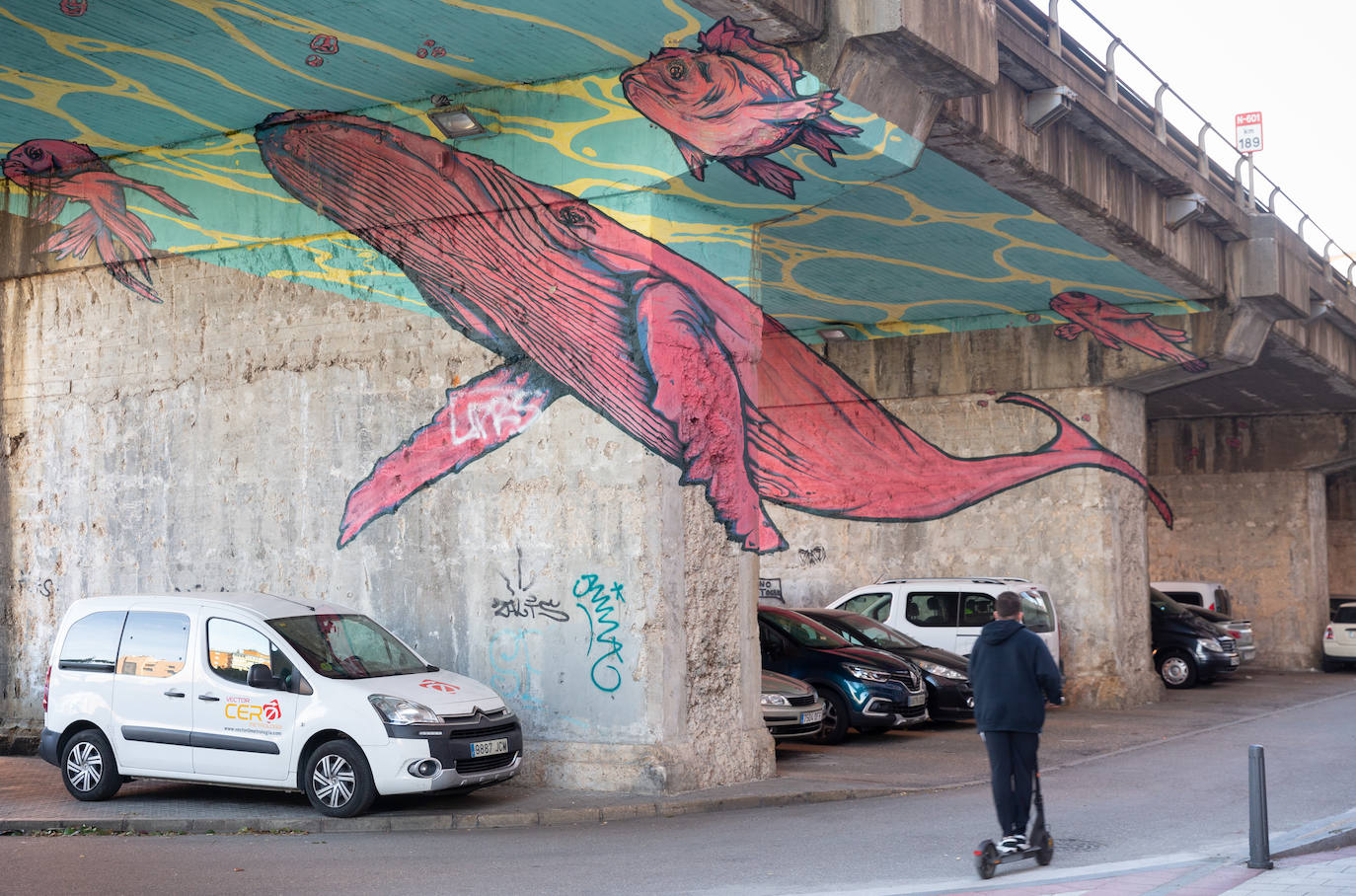 En el viaducto de Arco de Ladrillo se encuentra el mural de una gigantesca ballena pintada en color rosa dos columnas, jugando con perspectiva visual para poder unir la pieza. Es del arquitecto y muralista Eduars (Madrid, 1989) .