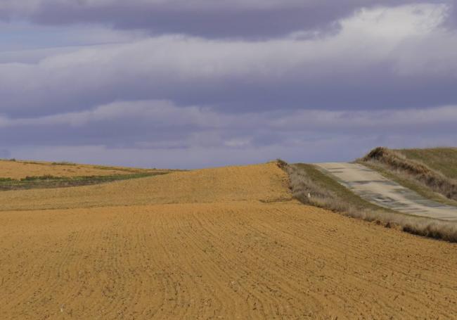 Una pradera seca e inmensa de Castilla y León.