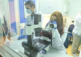 Iván Sanz, a la izquierda, en el laboratorio delCentro Nacional de Gripe de Valladolid.