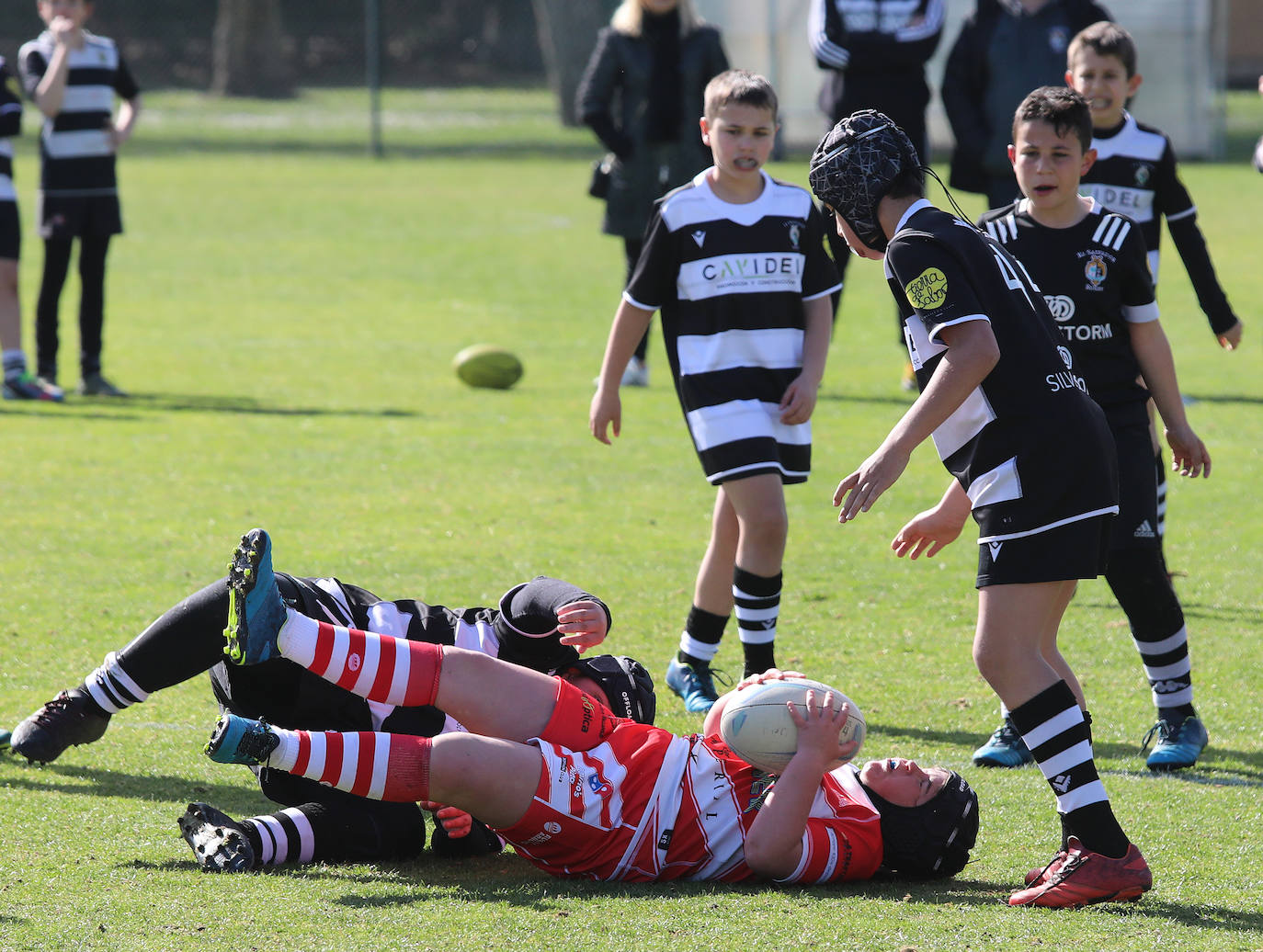 Palencia acoge la gran fiesta del rugby