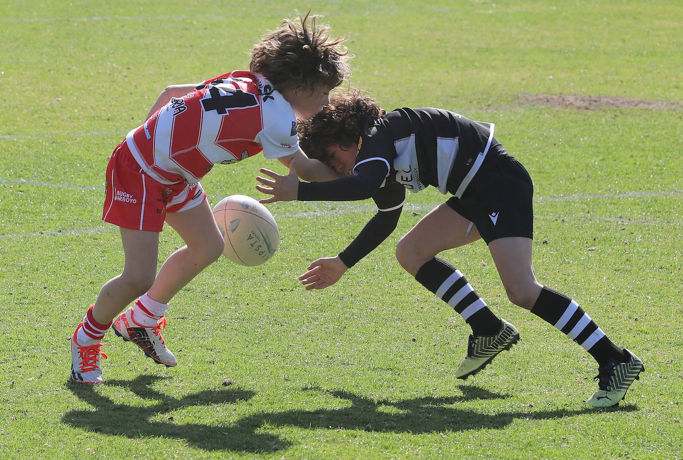 Palencia acoge la gran fiesta del rugby