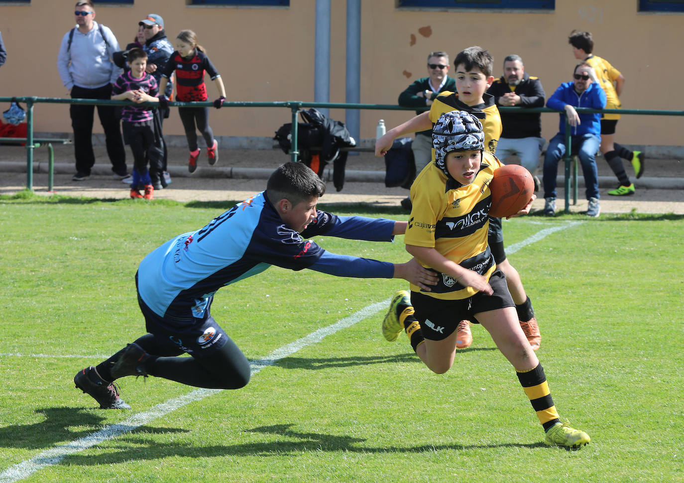 Palencia acoge la gran fiesta del rugby