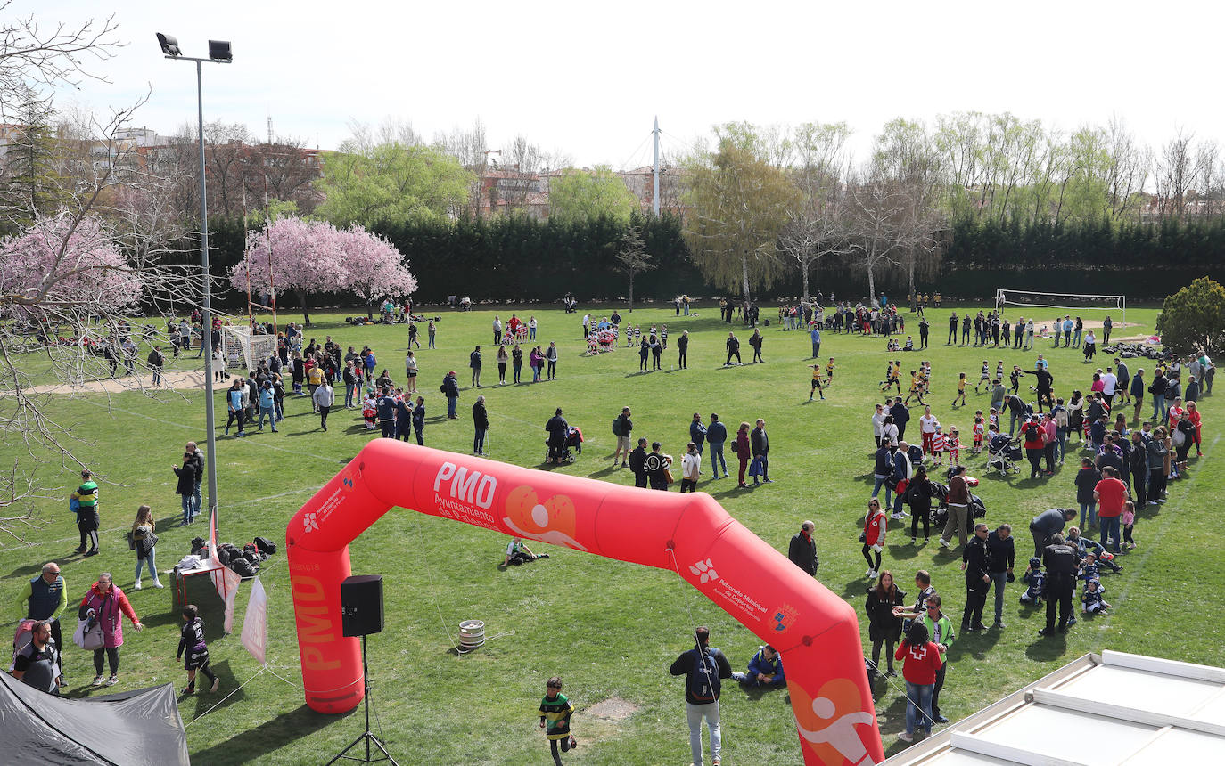 Palencia acoge la gran fiesta del rugby