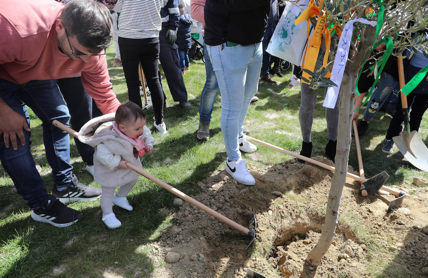 Villamuriel, un árbol por cada vecino