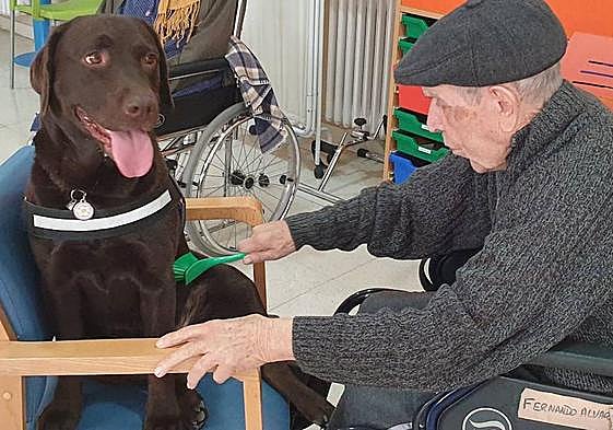 Un anciano cepilla a un perro en la residencia La Alameda en Nava de la Asunción.