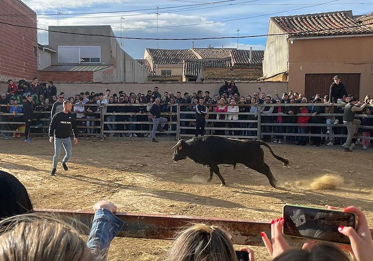 Tercera edición de El Tortillero, este sábado en Villalón de Campos.