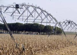 Licitadas las obras para implantar energía solar en la Comunidad de Regantes de Tordesillas