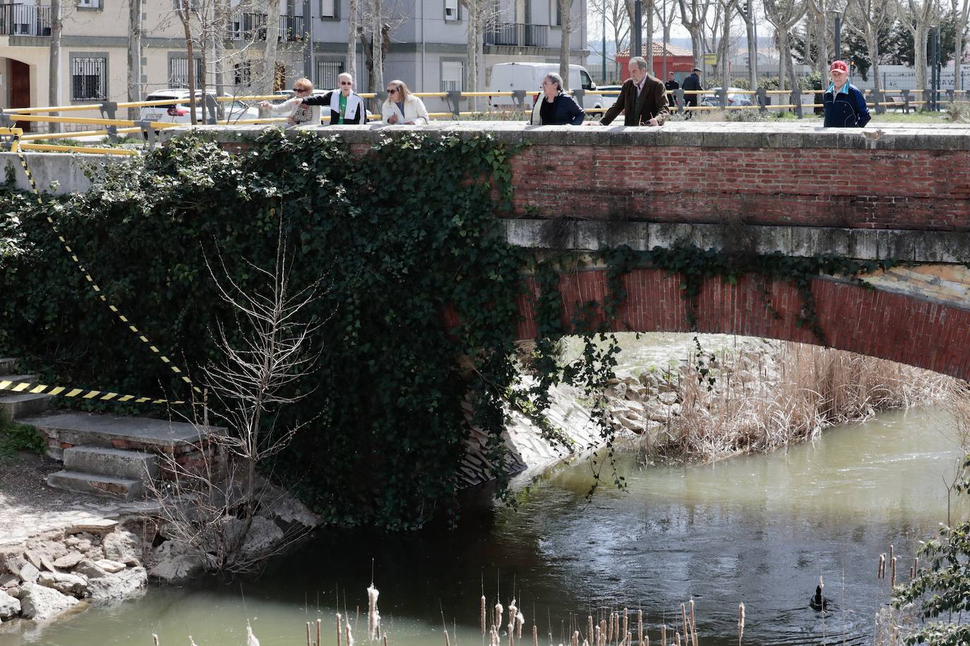 Plaga de ratas en el Paseo del Cauce