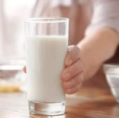 Diez mitos sobre la leche