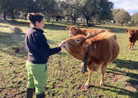 Imagen secundaria 1 - Noelia, vacuando cerdos y tocando a una vaca. S. G.