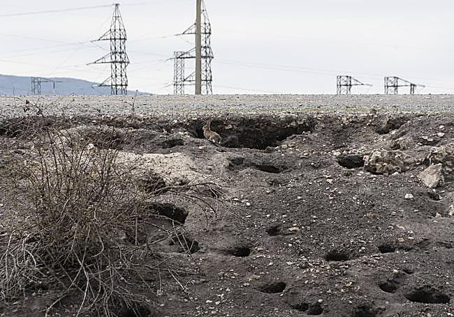 Hoyos cavados por los conejos en una parcela segoviana dedicada al cultivo.
