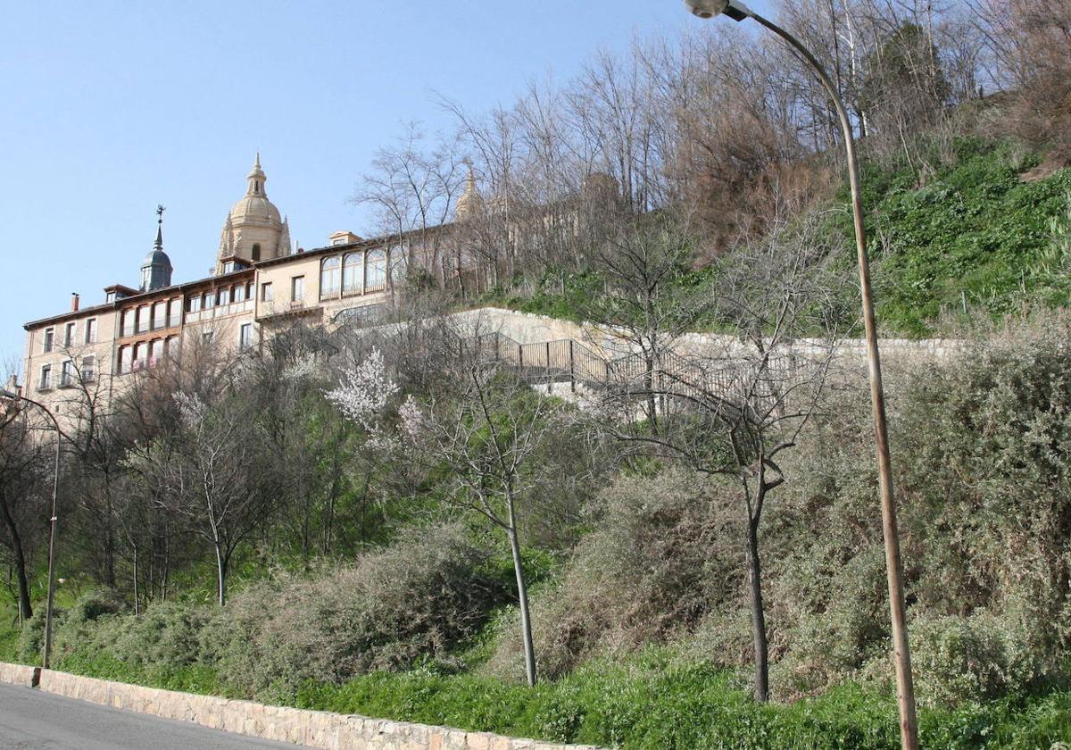 Ladera del paseo de los Tilos donde en su día estuvo proyectado el aparcamiento.