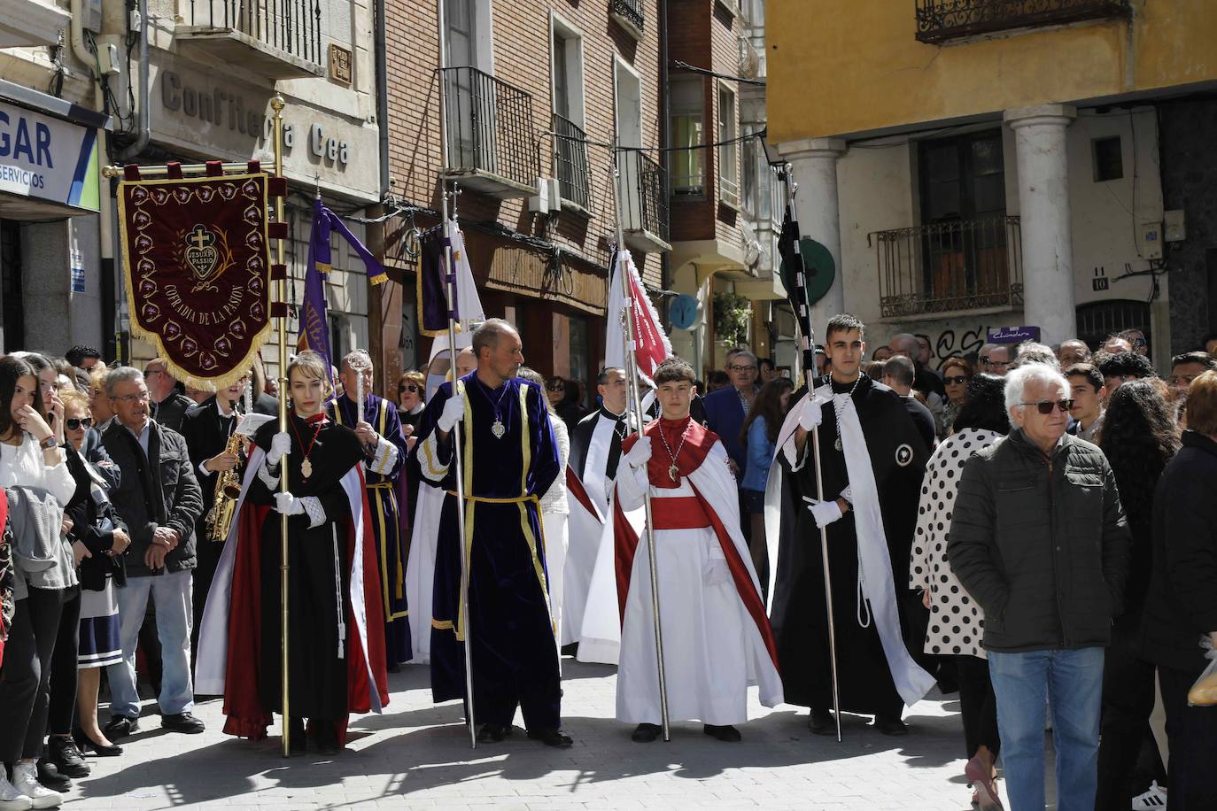 Peñafiel celebra su tradicional procesión de la Borriquilla