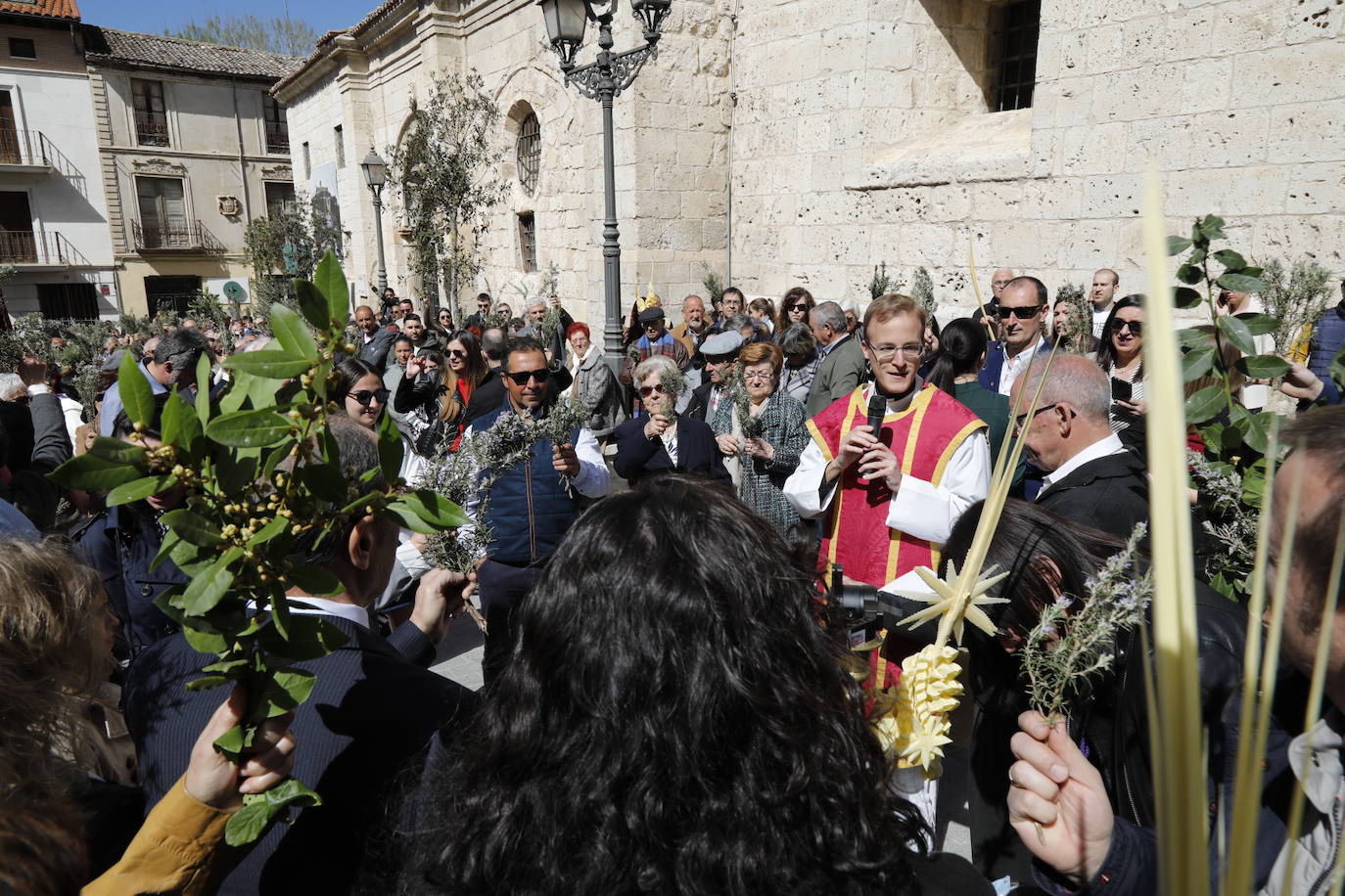 Peñafiel celebra su tradicional procesión de la Borriquilla