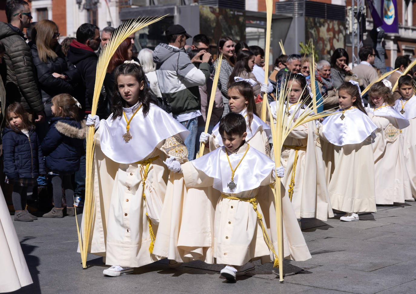 Procesión de la Borriquilla de Valladolid