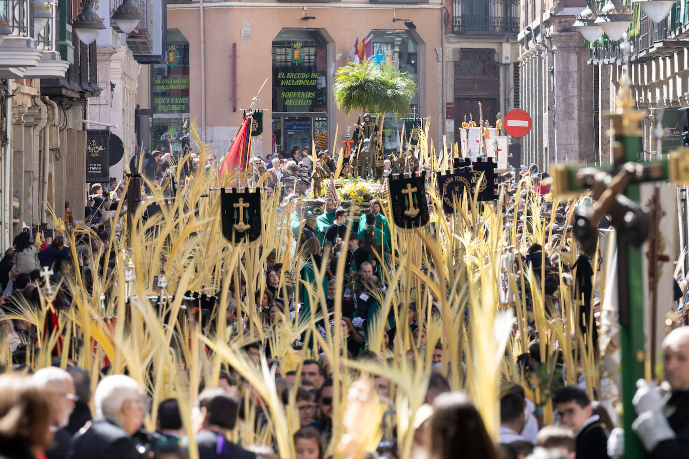 Procesión de la Borriquilla de Valladolid