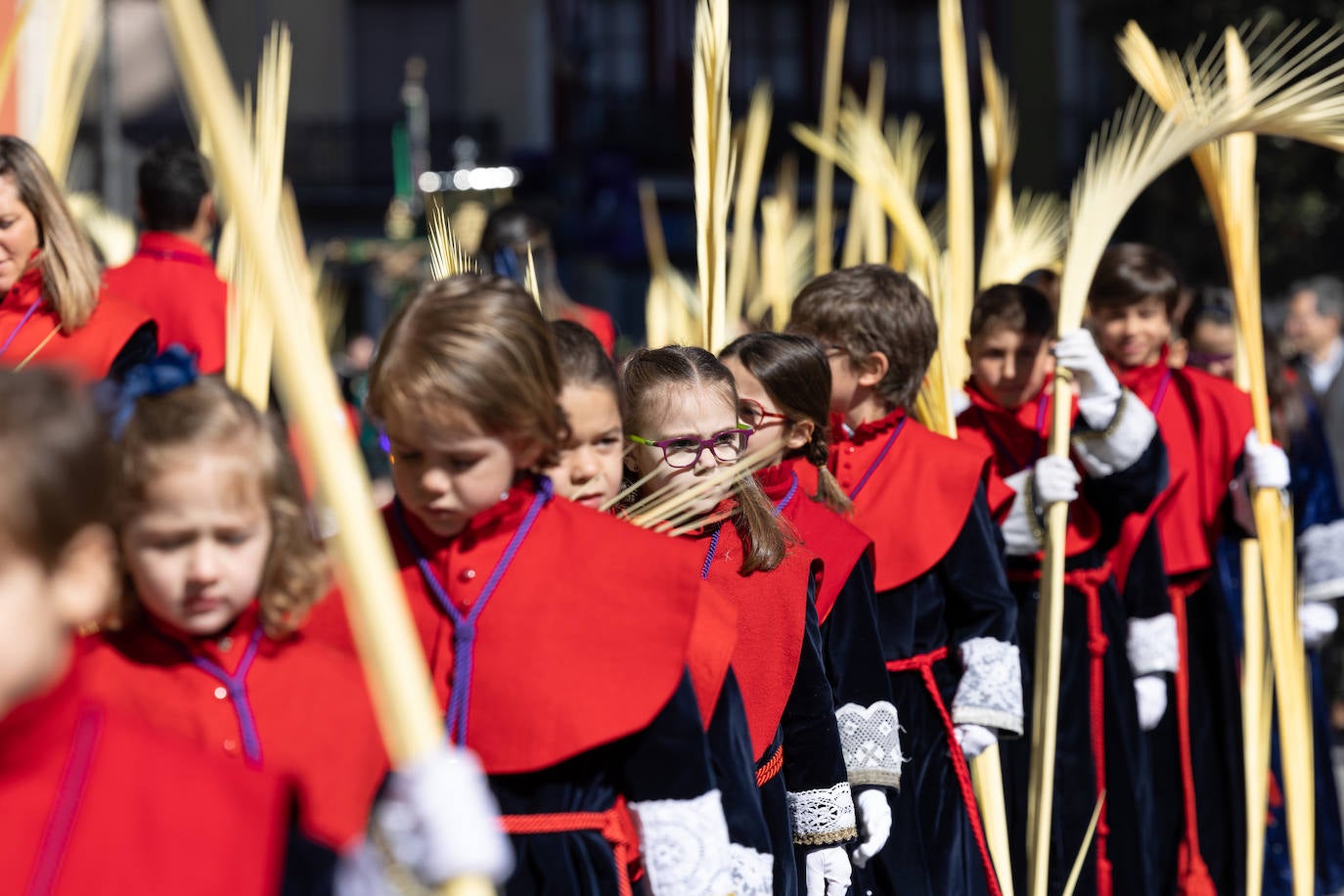 Procesión de la Borriquilla de Valladolid