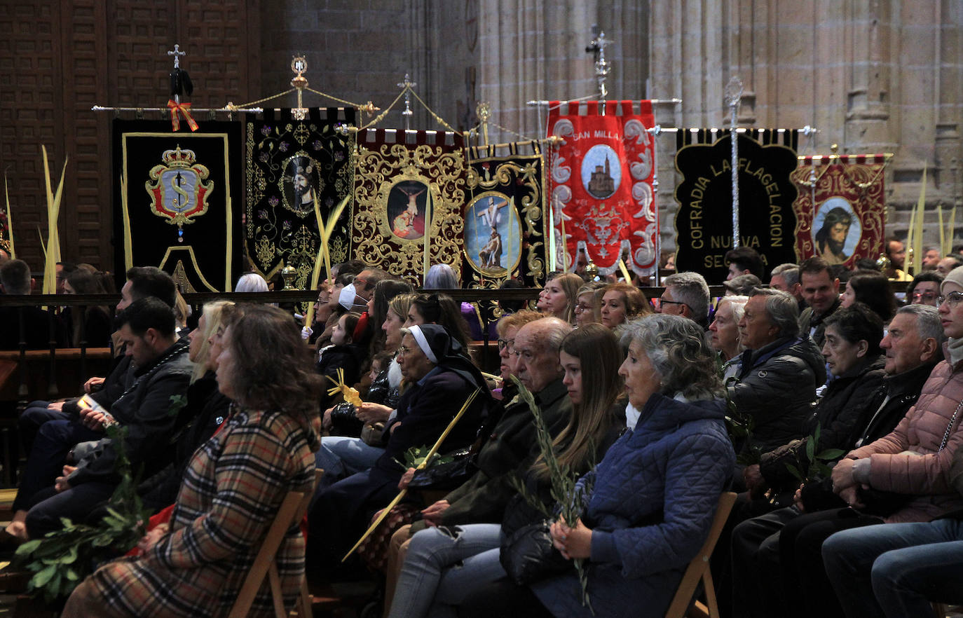 Domingo de Ramos en la provincia de Segovia