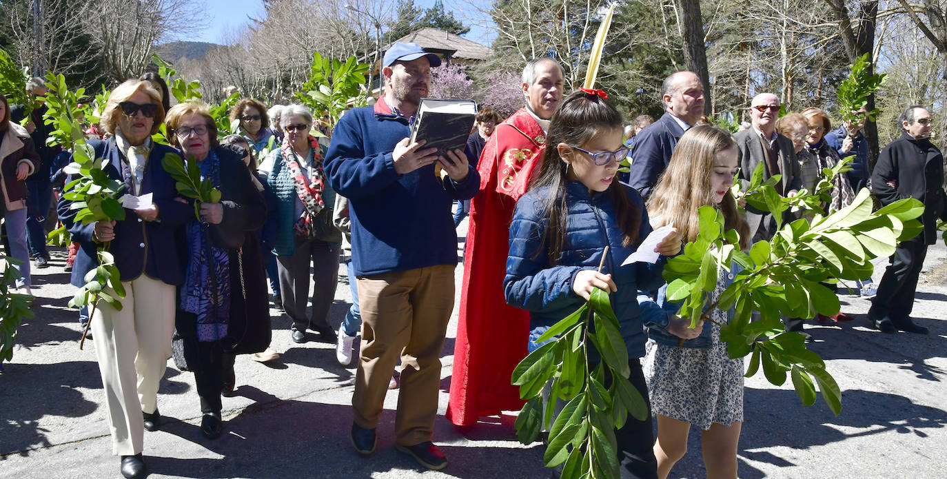 Procesión del Domingo de Ramos en El Espinar y San Rafael