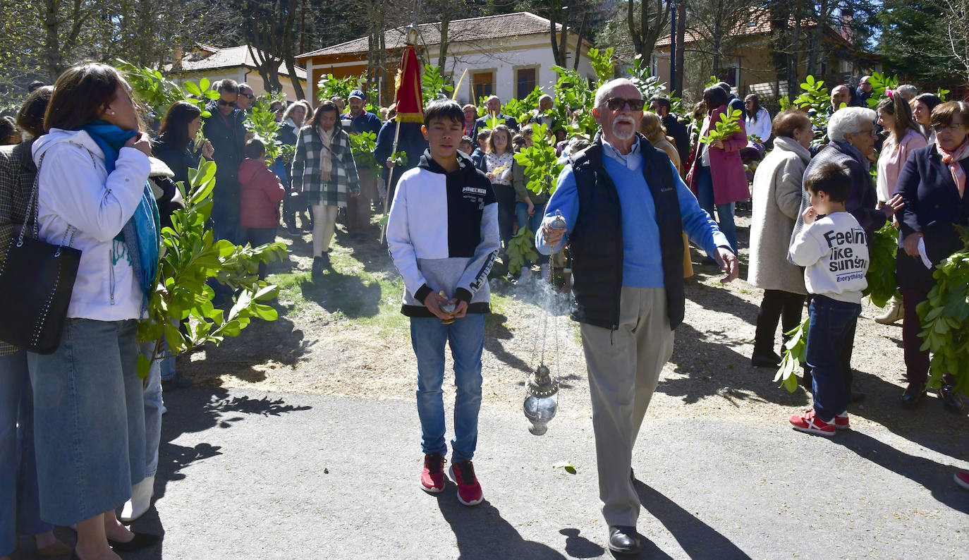 Procesión del Domingo de Ramos en El Espinar y San Rafael