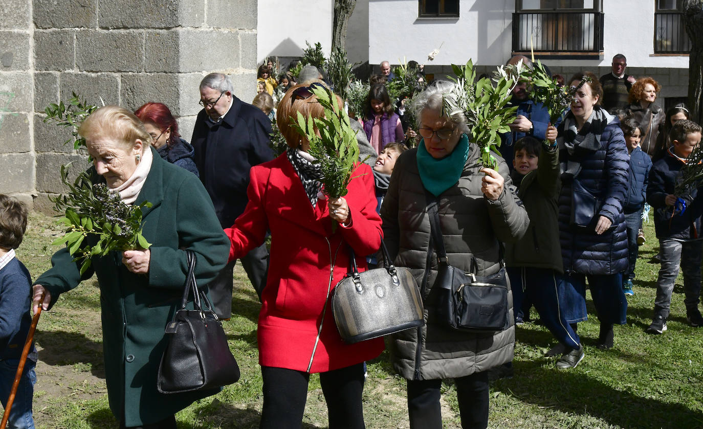 Procesión del Domingo de Ramos en El Espinar y San Rafael