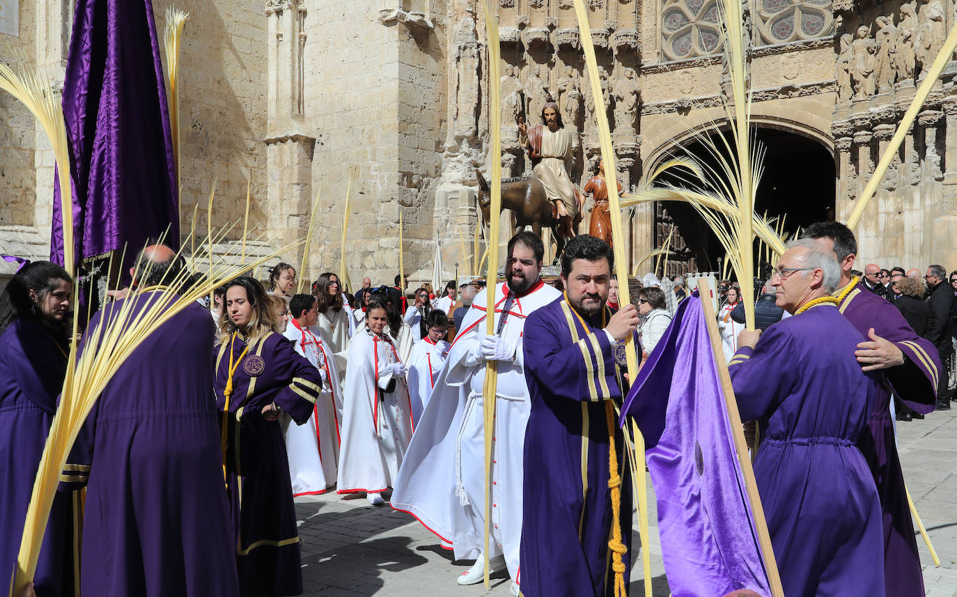 Procesión de la &#039;borriquilla&#039; en Palencia